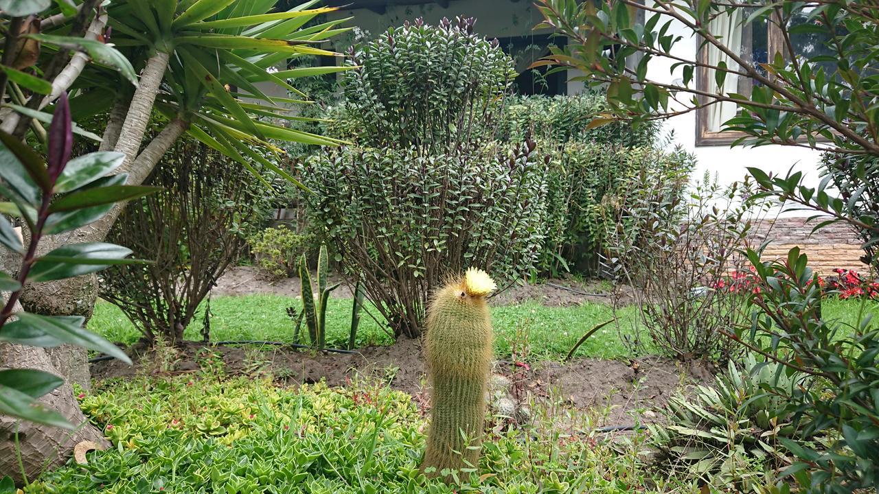 Villa Mimi Otavalo Kültér fotó